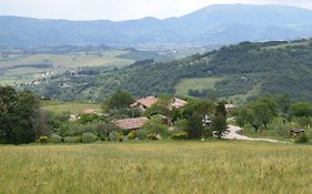 Agriturismo Terra Selvatica